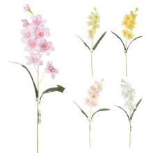 KONÁR ROZKVITNUTÝ 5F 64cm - FLORASYSTEM