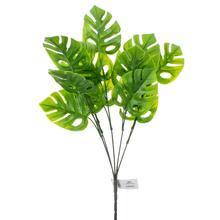 ZÁPICH MONSTERA LISTY 35cm - FLORASYSTEM