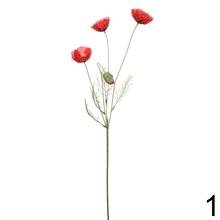 KS PAPAVER 4-ST 2F 60CM - Foto0