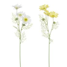 MARGARÉTKA 2F 60CM - FLORASYSTEM