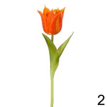 KS TULIPÁN 6F 24CM - Foto1