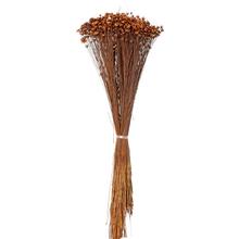 Stabilizované kvety Glixia v hnedej farbe, 50g.