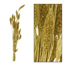 Setaria nature zv.zlatá 66x15x6cm - FLORASYSTEM