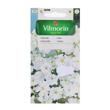 GYPSOMILKA BIELA 5g - FLORASYSTEM