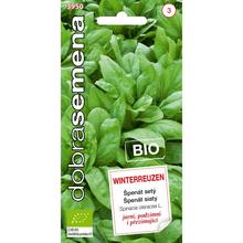 ŠPENÁT WINTERREUZEN BIO 4g - FLORASYSTEM