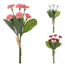 SUPER CENA! KYTICA BELLIS,ZELEŇ 3F 31cm - FLORASYSTEM
