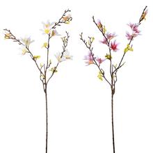 KONÁR MAGNÓLIA, LISTY 2F 86CM - FLORASYSTEM