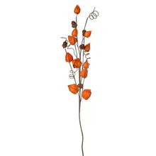 VETVIČKA PHYSALIS, ŽALUĎ OR/ZE/HN 70*25*6CM - FLORASYSTEM