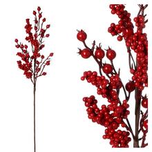 ZÁPICH ŠÍPKY, BOBULKY ČERVENÉ 65CM - FLORASYSTEM