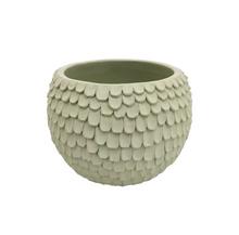 AKCIA OBAL CASPO SFERICO FRAST ŠALVIA V13,5X18,5cm - FLORASYSTEM