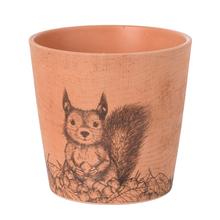 AKCIA OBAL VEVERIČKA 14CM - FLORASYSTEM