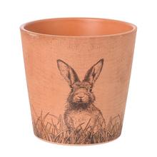 AKCIA OBAL ZAJAC 14CM - FLORASYSTEM