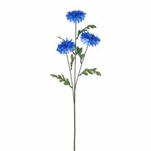 KS NEVADZA MODRÁ 56cm - FLORASYSTEM