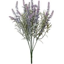 ZÁPICH LEVANDUĽA 37cm - FLORASYSTEM