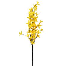 KS ZLATÝ DÁŽĎ 66CM - FLORASYSTEM