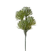 ZÁPICH SUKULENT ZELENO-SIVÁ 18CM - FLORASYSTEM
