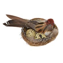 VTÁČIK V HNIEZDE 10CM - FLORASYSTEM