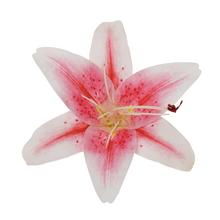 HLAVA ĽALIA RUŽOVÁ D:12CM BAL:12KS - FLORASYSTEM