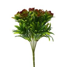 ZELEŇ SUKULENT ZELENO-ČERVENÁ 28CM - FLORASYSTEM