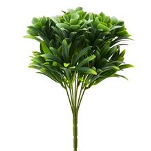 ZELEŇ SUKULENT ZELENO-BIELA 28CM - FLORASYSTEM