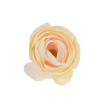 HLAVA RANUNKULUS 4CM BAL.12KS KRÉM - FLORASYSTEM