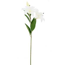 KS ĽALIA BIELA 80CM - FLORASYSTEM