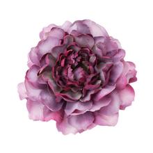 HLAVA PIVÓNIA 4CM BAL.12KS FIALOVÁ - FLORASYSTEM