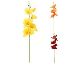 KS GLADIOLA ORANŽOVÝ,ŽLTÝ,ČERVENÝ MIX/3 55CM - FLORASYSTEM