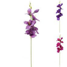KS GLADIOLA FIALOVÝ MIX/3 55CM - FLORASYSTEM
