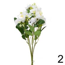 Kytica ranunkulus mix v rôznych farbách.