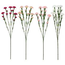 KS KARAFIÁT VIACKVETÝ MIX 4F 61CM - FLORASYSTEM