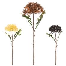 KS AMMI, KVET MRKVY MIX/3F 43CM - FLORASYSTEM