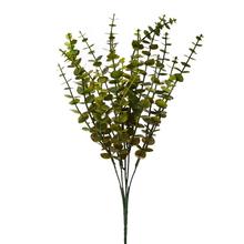 ZELEŇ EUCALYPTUS BABY BLUE BLEDO-ZELENÝ 41cm - FLORASYSTEM