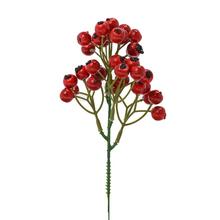 ZÁPICH ŠÍPKY ČERVENÉ 20cm  - FLORASYSTEM