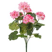 KYTICA PELARGÓNIA x6 RUŽOVÁ 42CM - FLORASYSTEM