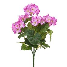 KYTICA PELARGÓNIA x6 FIALOVÝ MELÍR 42CM - FLORASYSTEM