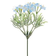 ZÁPICH NEZÁBUDKA MODRÁ 20CM - FLORASYSTEM