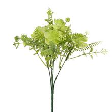 ZELEŇ SUKULENT ZELENÝ 28CM - FLORASYSTEM