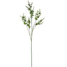 KONÁR EUCALYPTUS BABY BLUE ZELENÝ 76CM - FLORASYSTEM