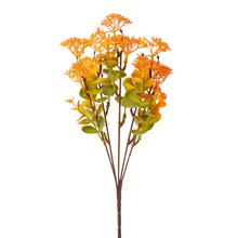 ZELEŇ SEDUM ORANŽOVÉ 32CM - FLORASYSTEM