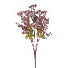 ZELEŇ SEDUM BORDOVÉ 32CM - FLORASYSTEM