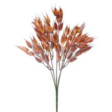 ZELEŇ KLASY BORDOVÉ 35CM - FLORASYSTEM