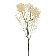 ZÁPICH BODLIAK BIELY 24cm /BAL.: 6ks/ - FLORASYSTEM