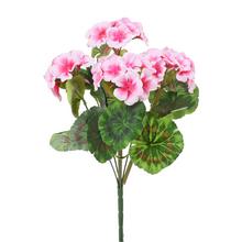 KYTICA ZONALKA x6 RUŽOVÁ 38CM - FLORASYSTEM