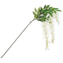 KONÁR VISTÉRIA VIACKVETÁ x3 KRÉM 112CM - FLORASYSTEM