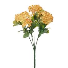 ZELEŇ VIBURNUM ORANŽOVÉ 30CM - FLORASYSTEM