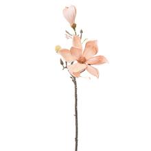 KS MAGNÓLIA BL. HNEDÁ-BROSK. 58CM - FLORASYSTEM