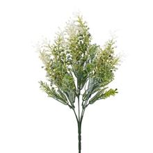 ZELEŇ BOBULKY BIELE 36CM - FLORASYSTEM