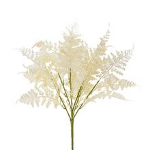 ZELEŇ PAPRAĎ BIELA 42CM - FLORASYSTEM