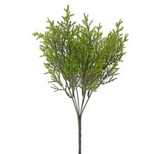 ZELEŇ TUJA ZELENÁ 32CM - FLORASYSTEM